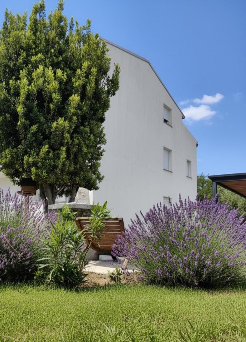 Property building, Garden, Garden view, Sports, Inner courtyard view