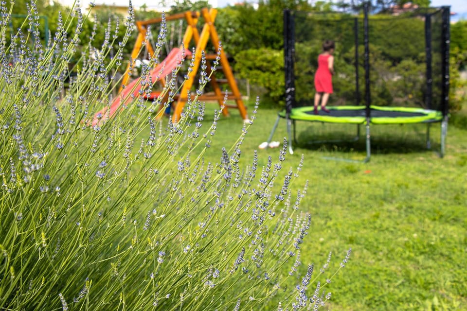 Garden, Garden view, Sports