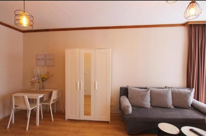 Luxury Suite Ivana Apartment in Bansko