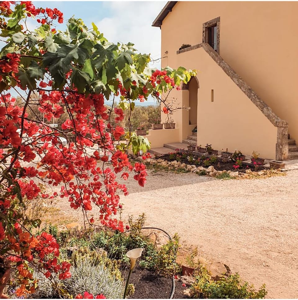 Property building, Facade/entrance, Garden