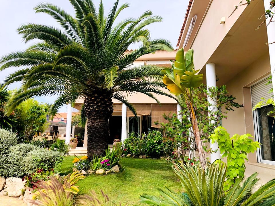 Facade/entrance, Garden