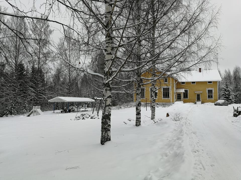 Winter