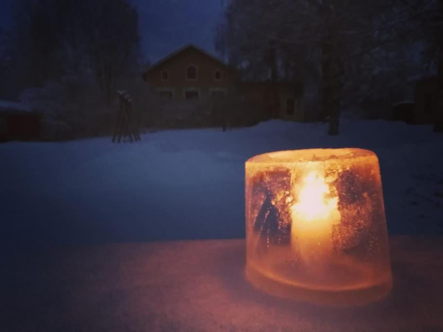 Winter