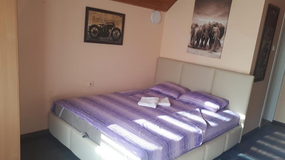 Apartman Dunja Banja Vrdnik Apartment in Vojvodina