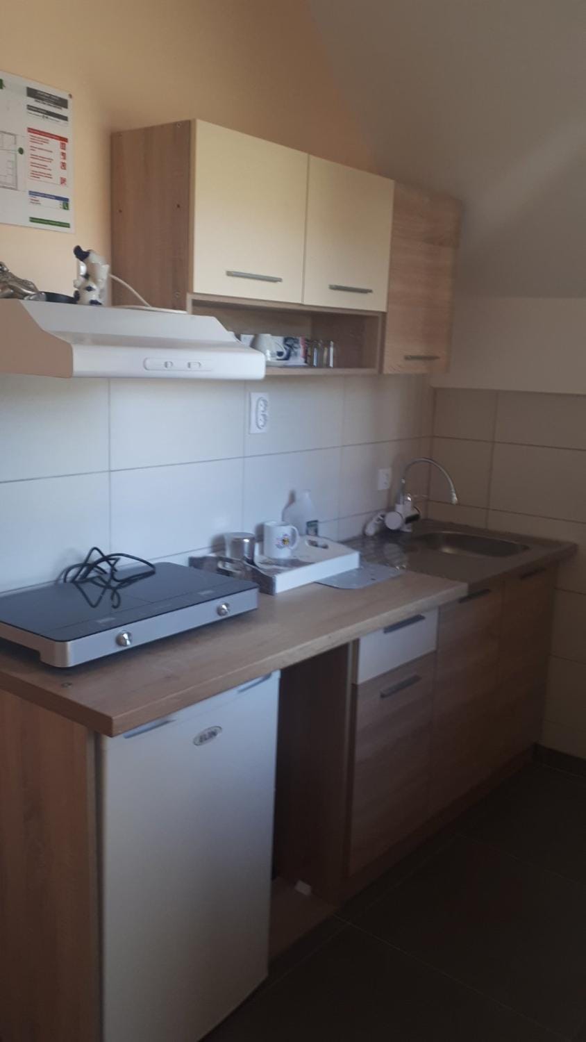 Apartman Dunja Banja Vrdnik Apartment in Vojvodina
