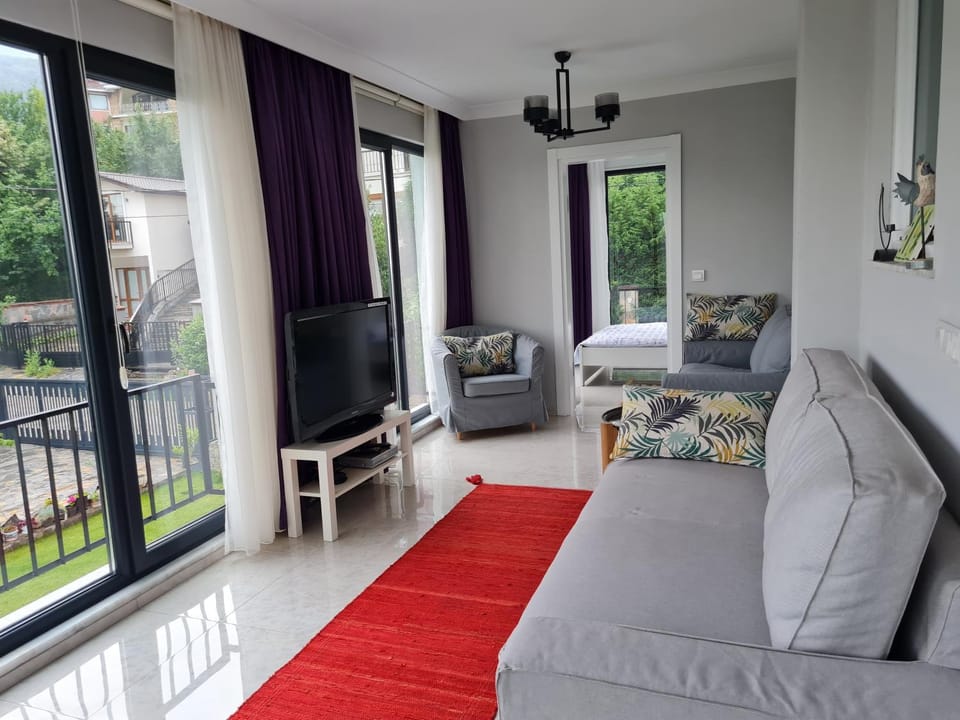 TV and multimedia, Living room, Garden view