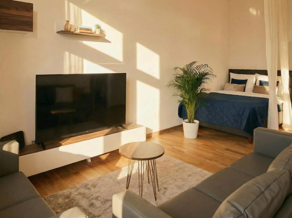 Bed, TV and multimedia, Living room, Bedroom