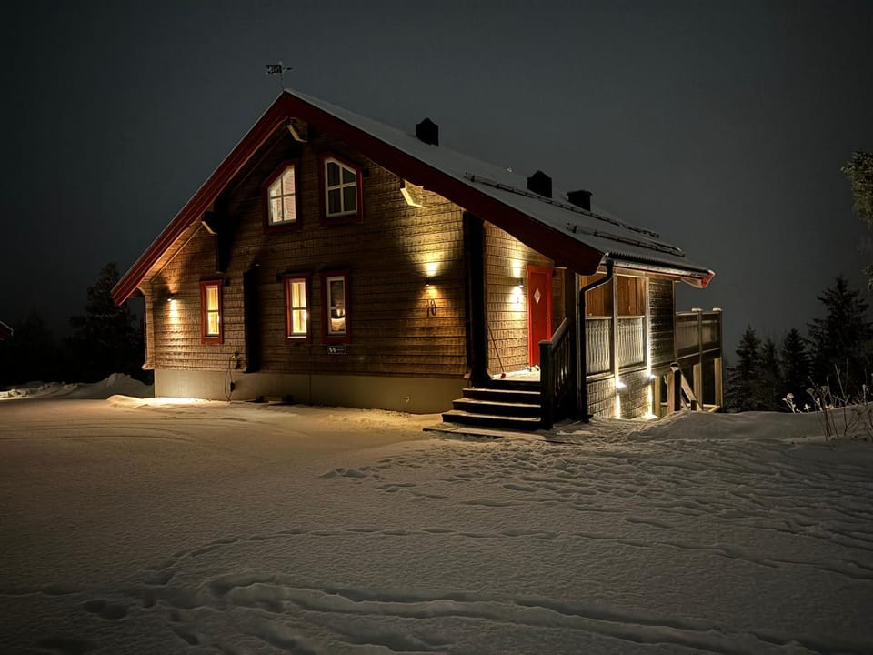 Property building, Night, Winter