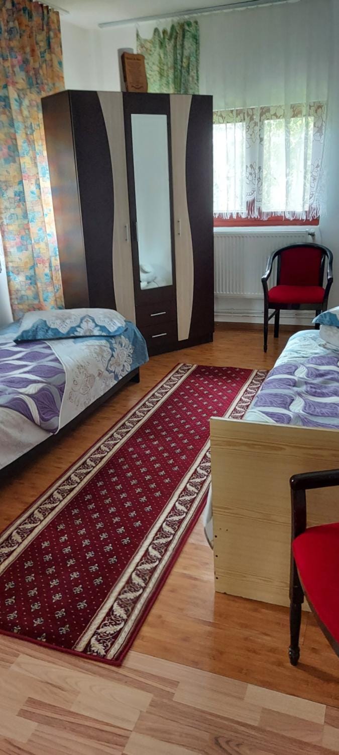 Casa Rodica Apartment in Romania