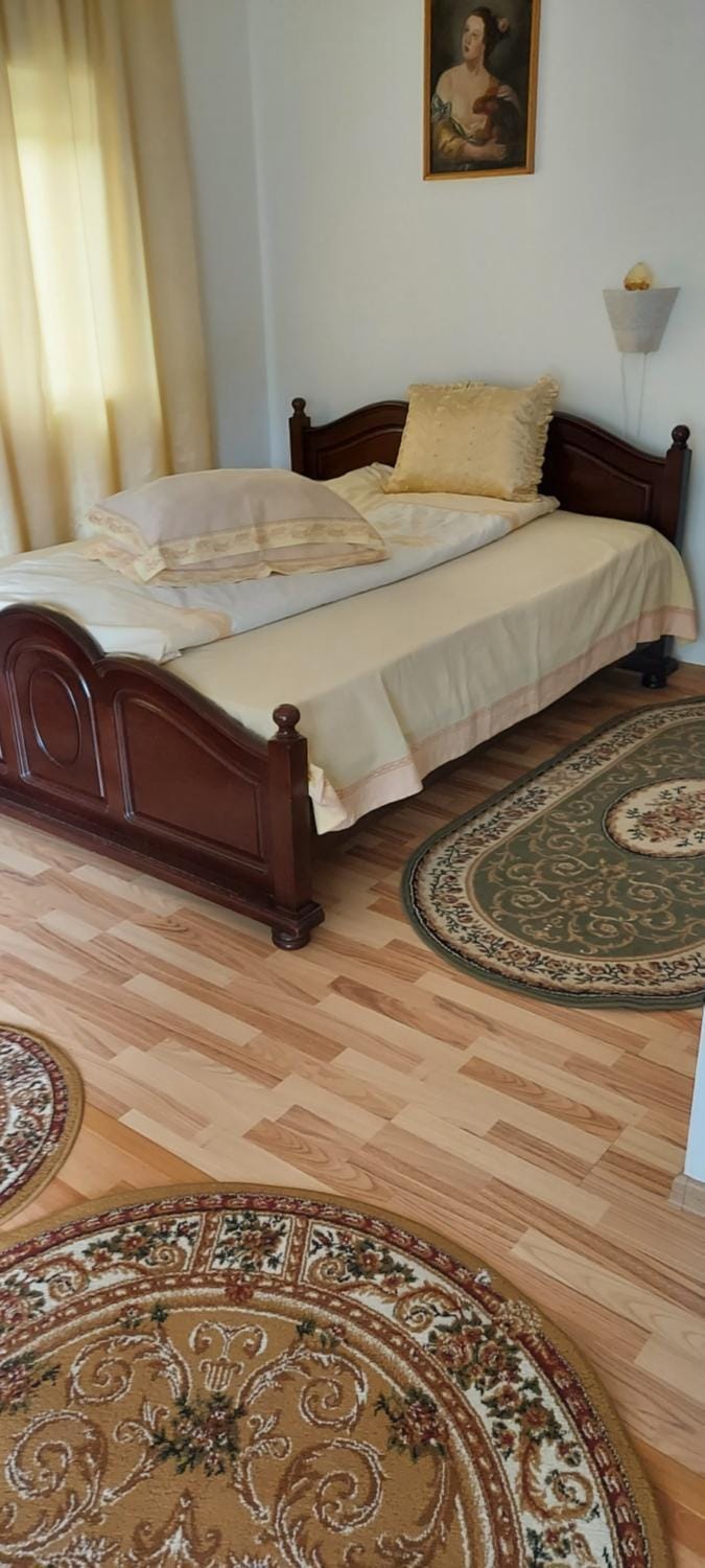 Casa Rodica Apartment in Romania