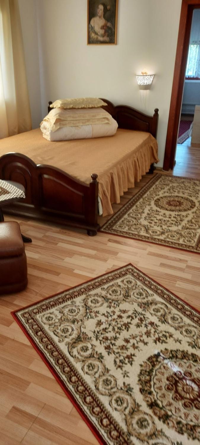 Casa Rodica Apartment in Romania