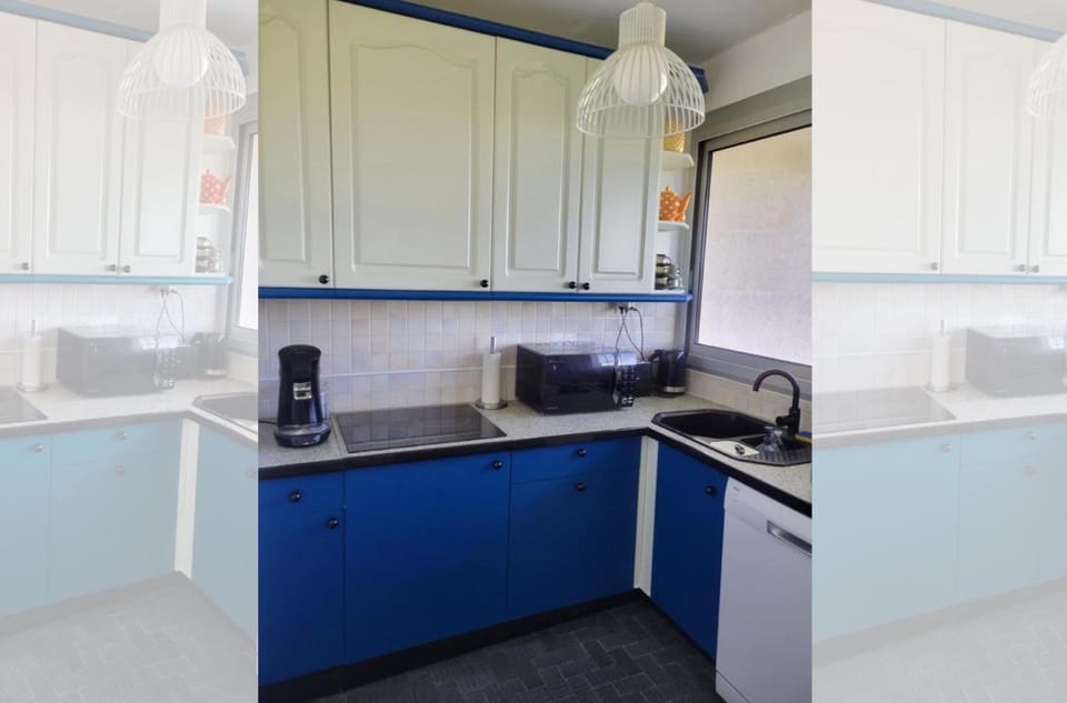 dishwasher, minibar, pet friendly, stove