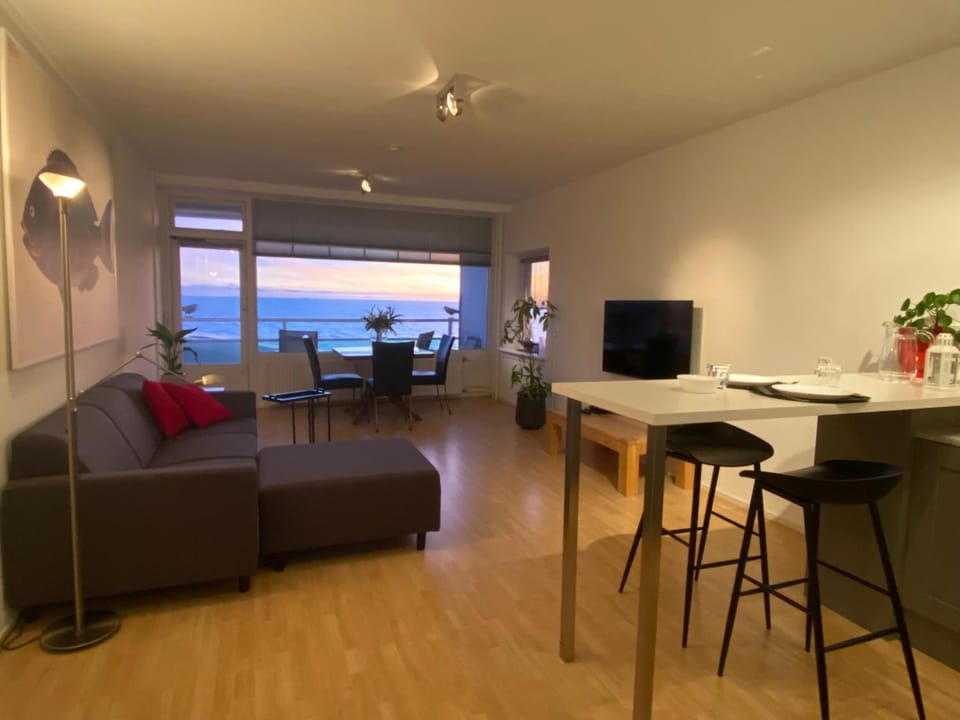 Zwarte Vis Apartment in Zandvoort
