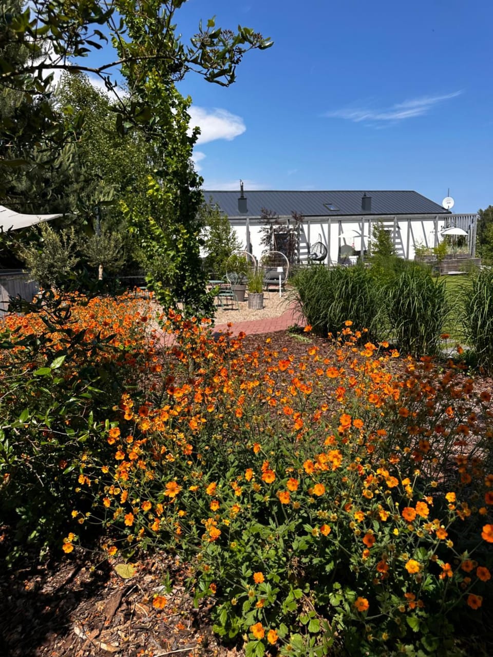 Spring, Garden, Garden view
