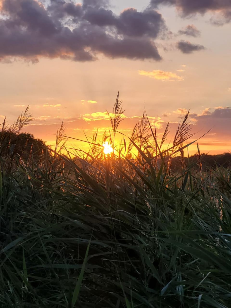 Natural landscape, Sunset