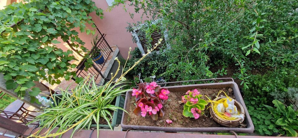 Apartman Dunja Apartment in Dubrovnik-Neretva County