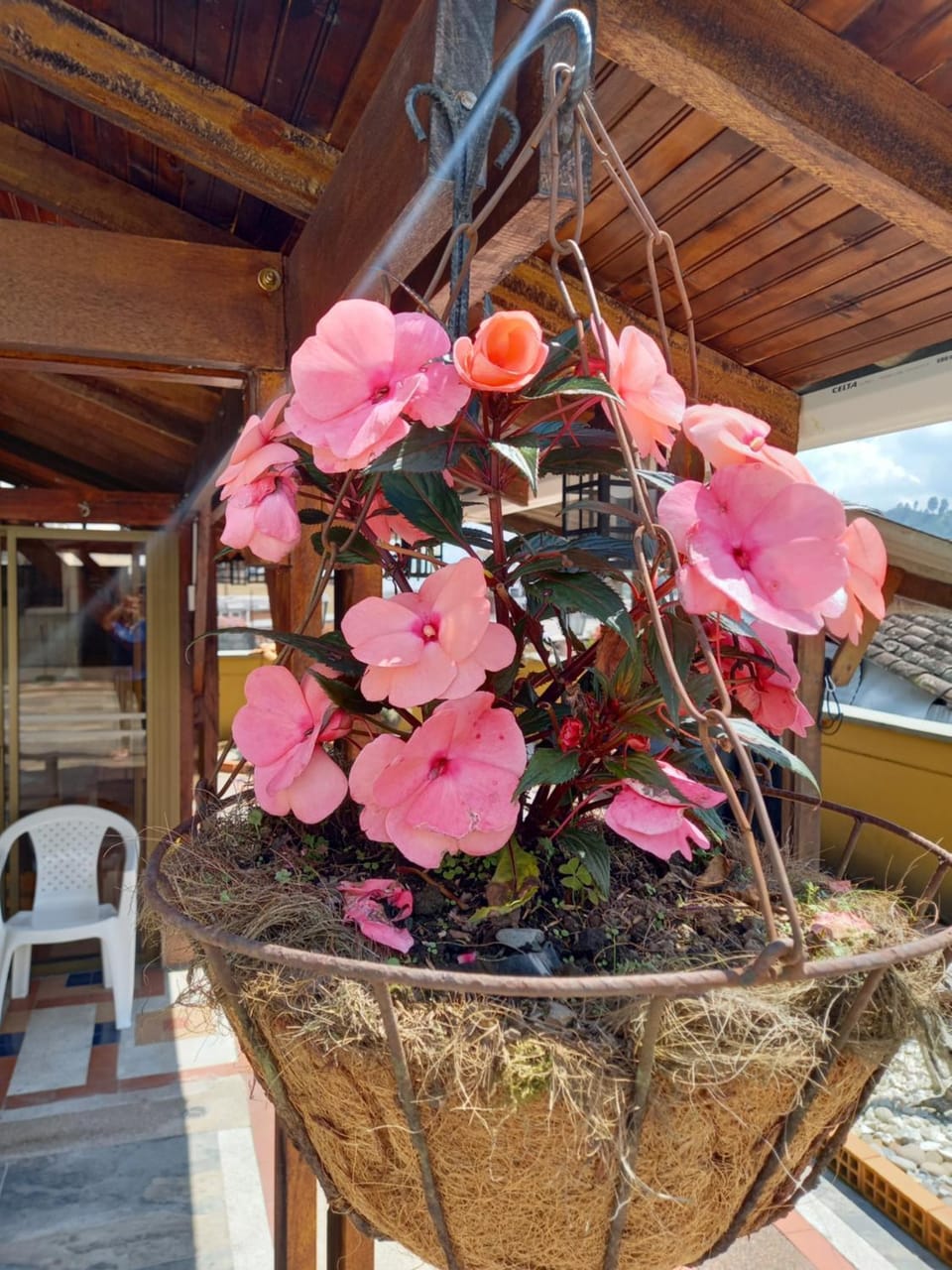 apartamento thecanarys 1 Bed and Breakfast in Santa Rosa de Cabal
