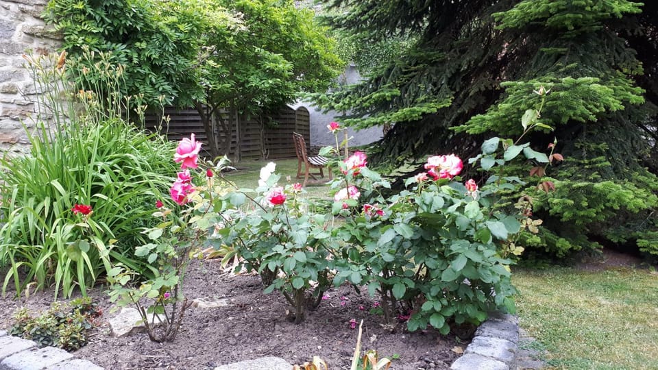 Patio, Garden