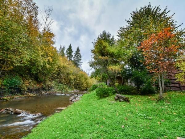 Natural landscape, River view