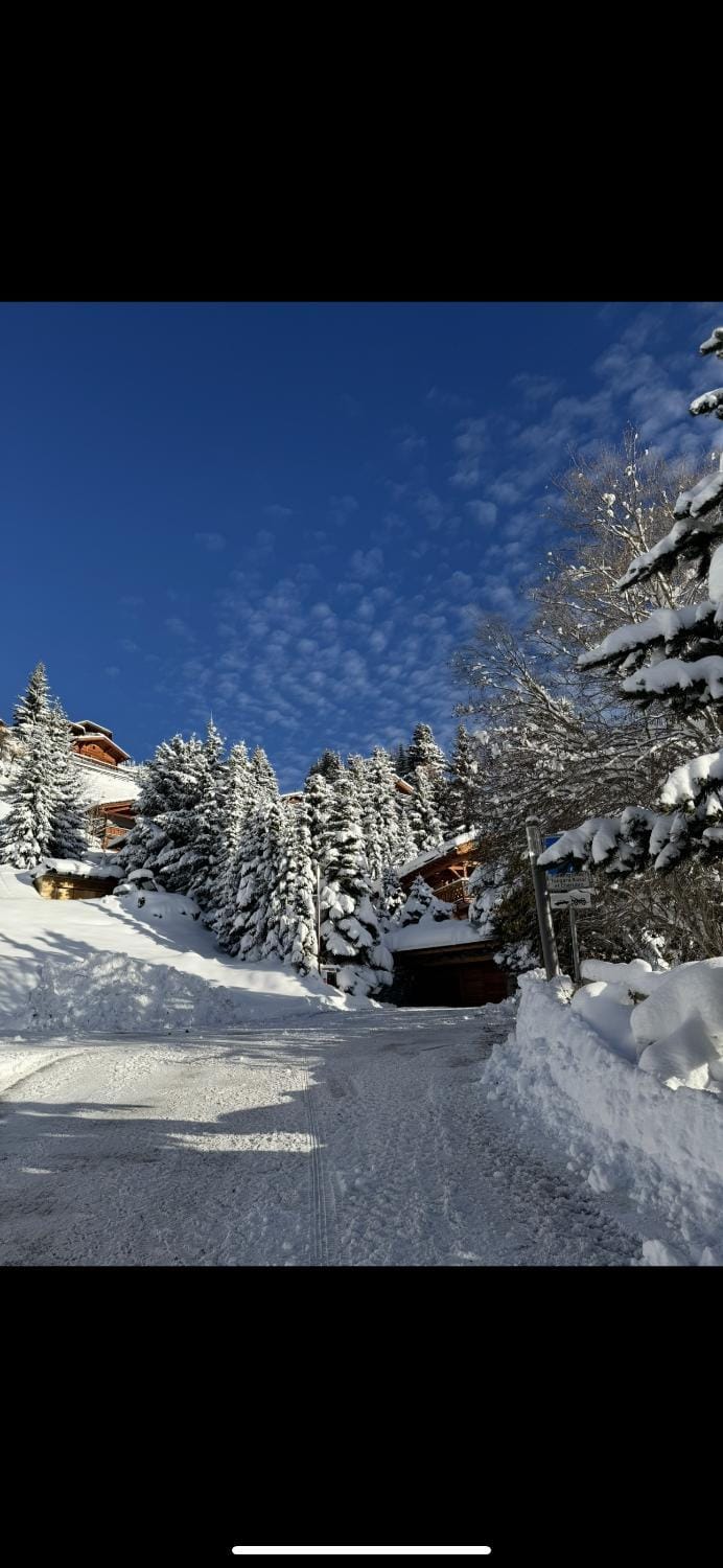 Superbe appartement avec vue et parking gratuit Apartment in Riddes
