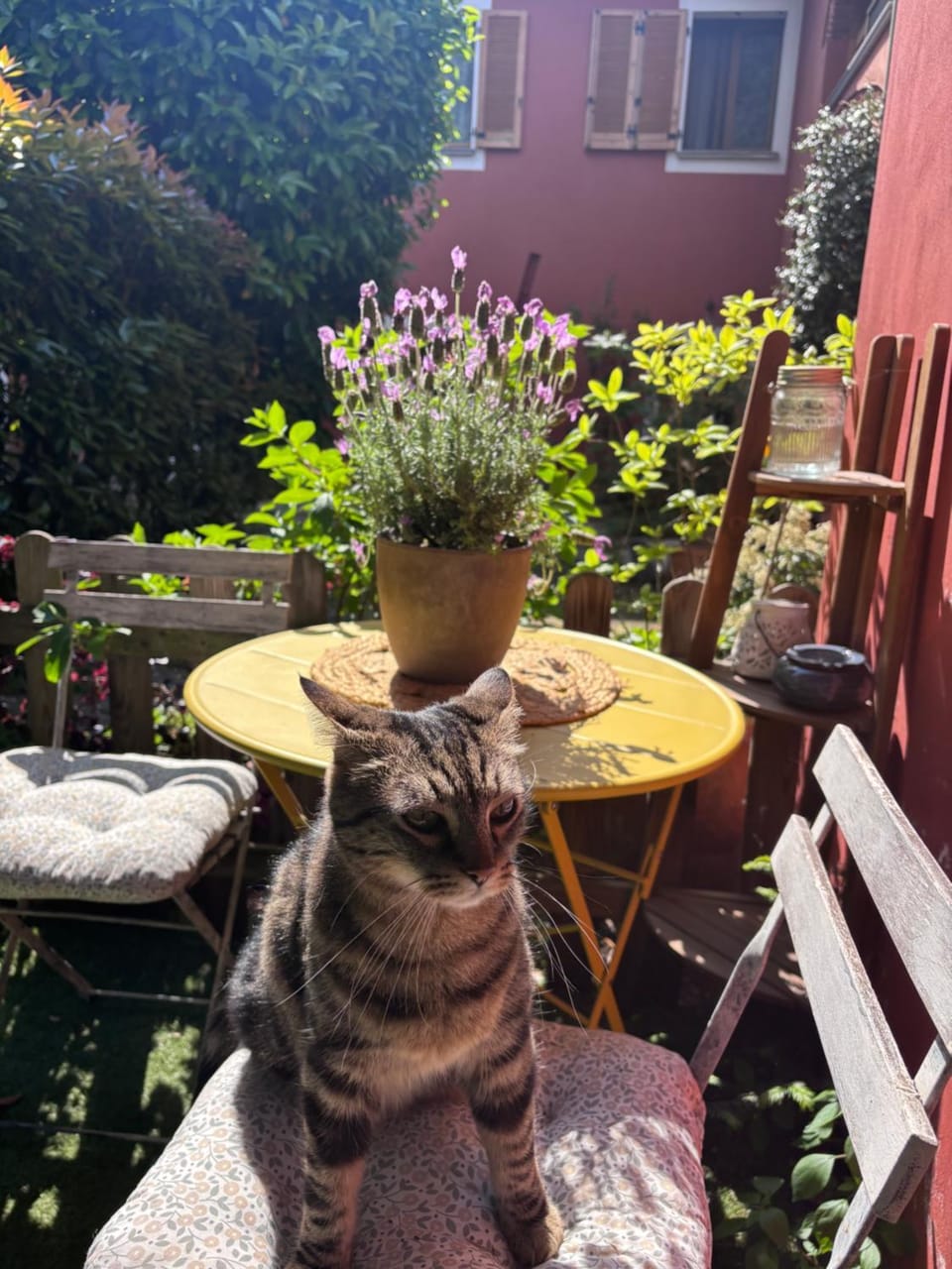 Il Pettirosso B&B Bed and Breakfast in Lombardy