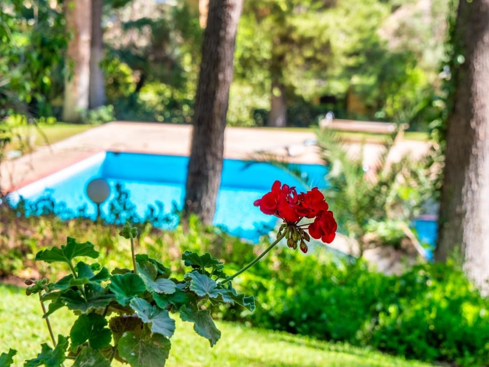 Sani Lili 6 Villa in Halkidiki