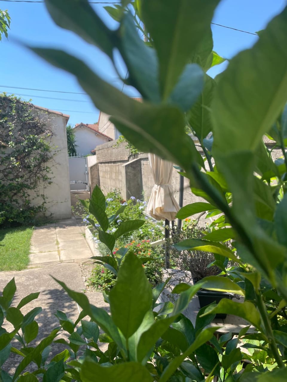 L’Annexe Apartment in Arles