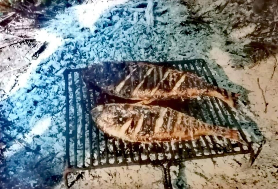 BBQ facilities