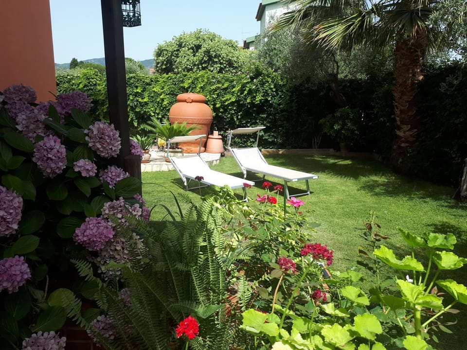 Garden view