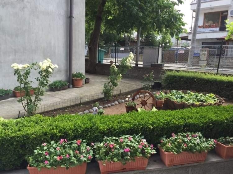 Къща Мечта Bed and Breakfast in Burgas Province