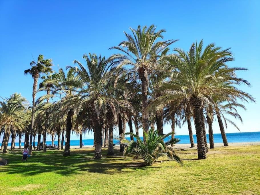 Garden, Beach