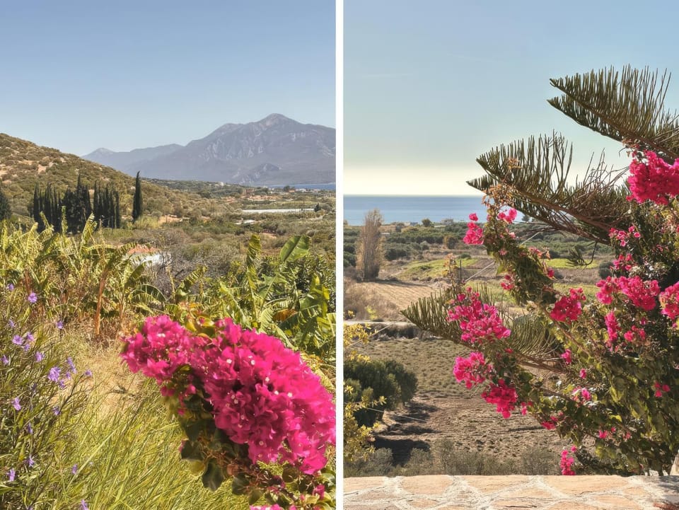 Natural landscape, Other, Garden view, Mountain view, Sea view, group of guests