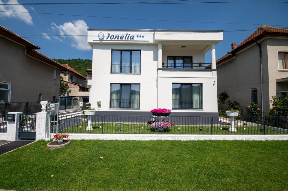 Pensiunea Ionelia Bed and Breakfast in Serbia