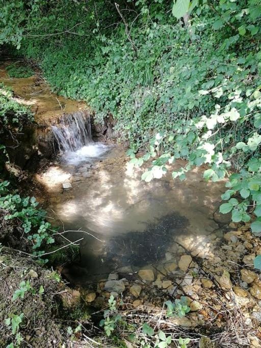 Natural landscape