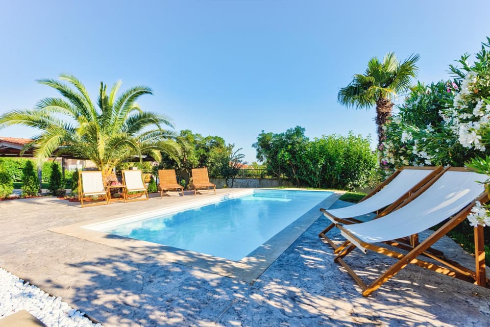 Garden, Swimming pool, Swimming pool, sunbed