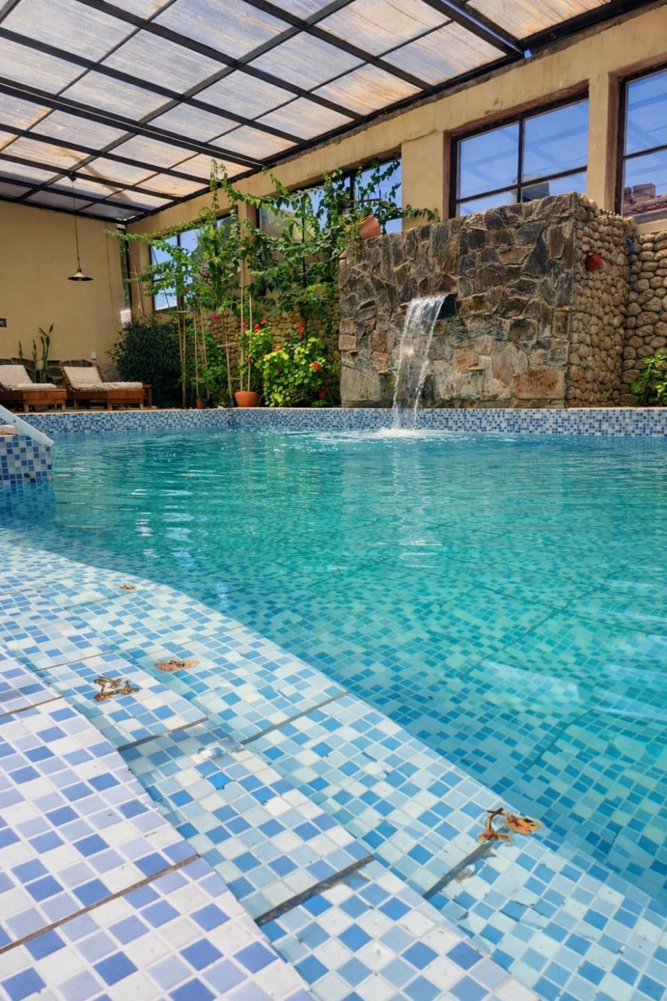 Day, Pool view, Swimming pool