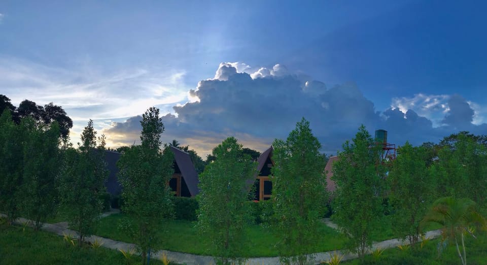 Day, Natural landscape