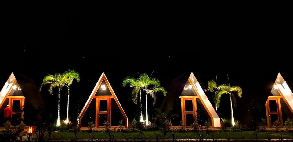 Property building, Night, Garden, Garden view