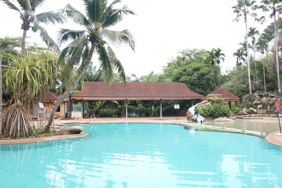 Day, Pool view, Swimming pool