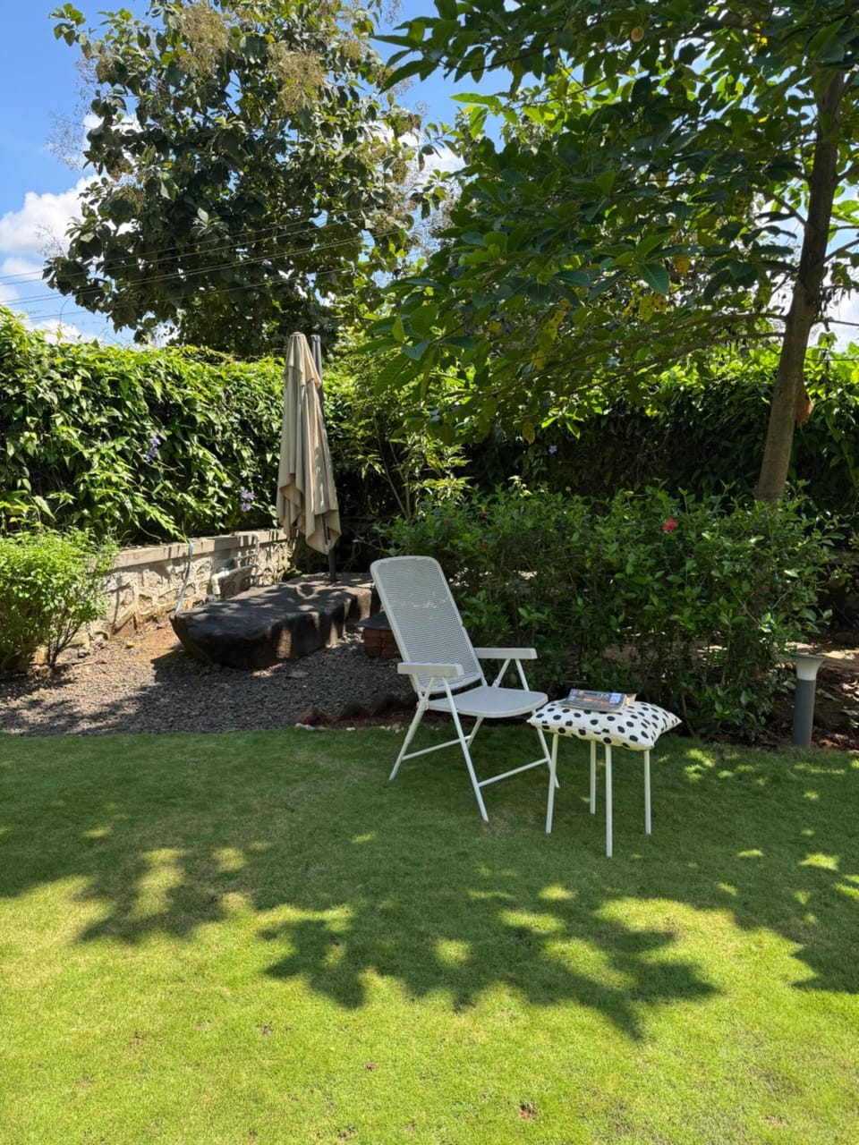 Day, Garden, Garden view