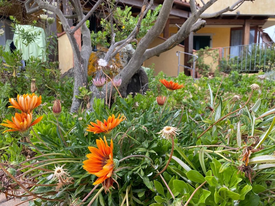 Property building, Garden