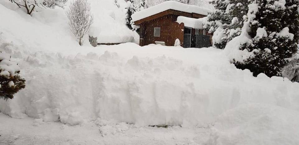Winter, Garden
