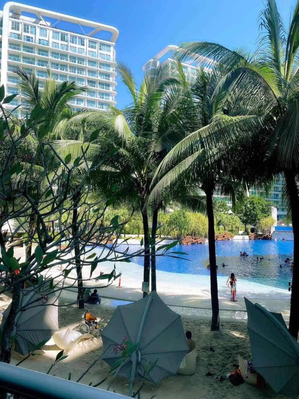 Pool view, Swimming pool