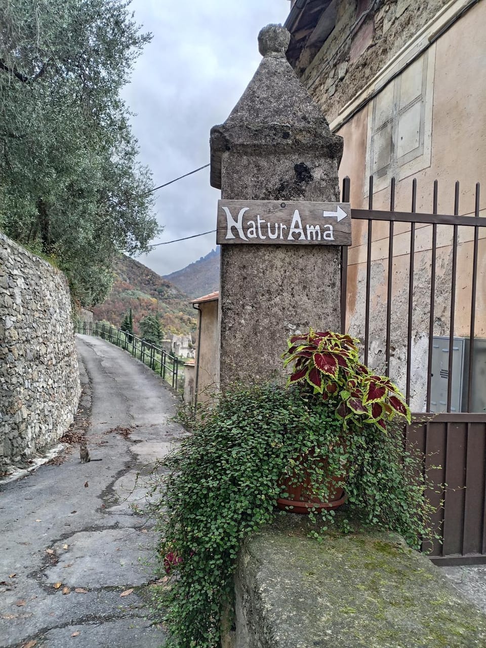 Landmark view, Street view