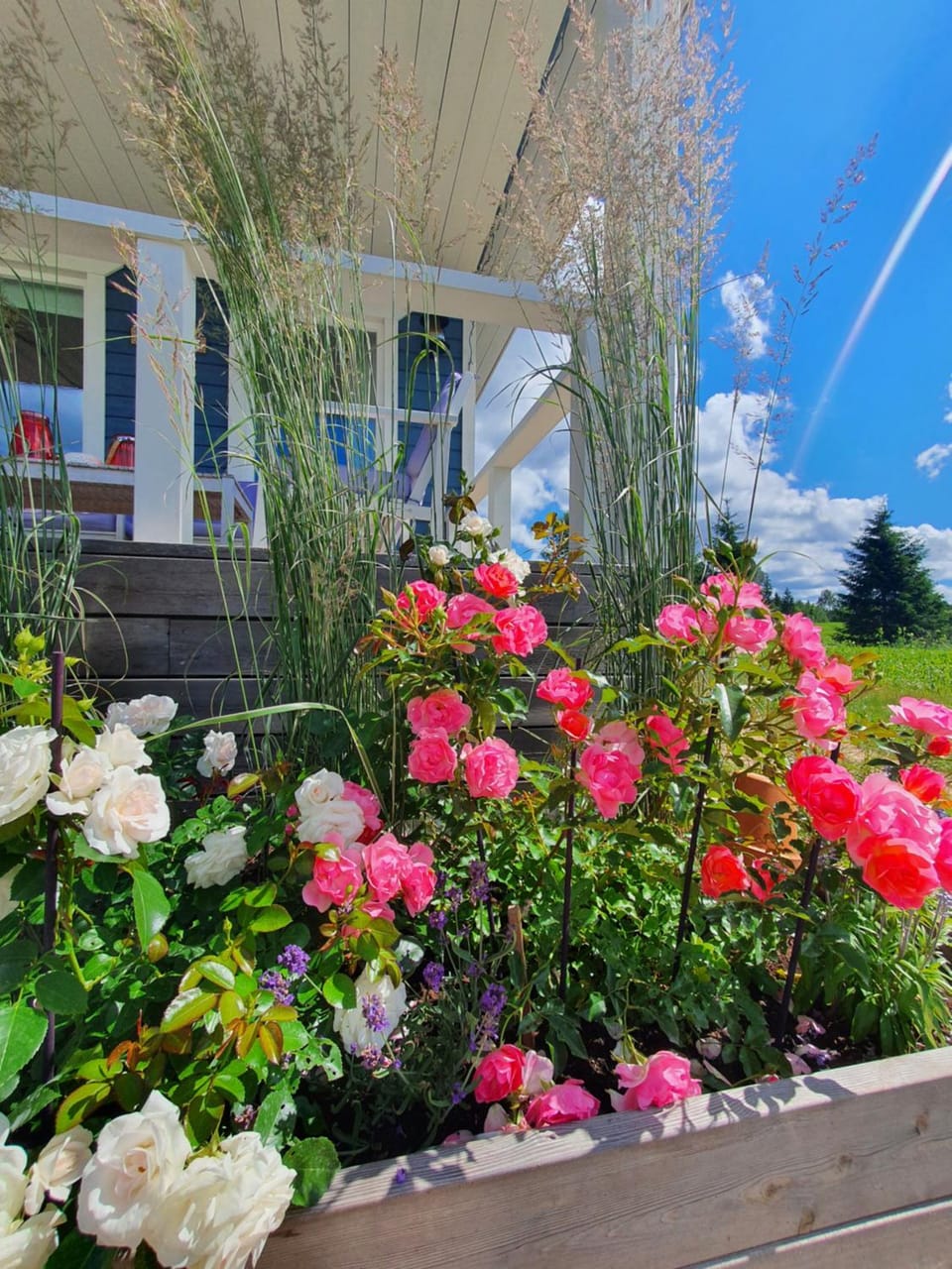Property building, Patio, Facade/entrance