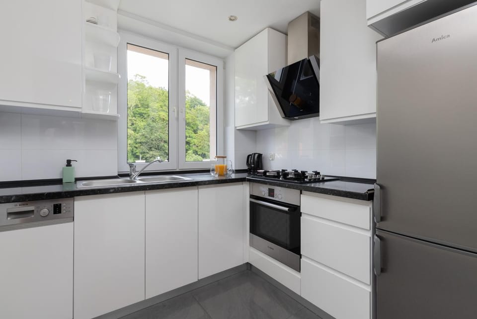 Kitchen or kitchenette, dishwasher, oven, stove