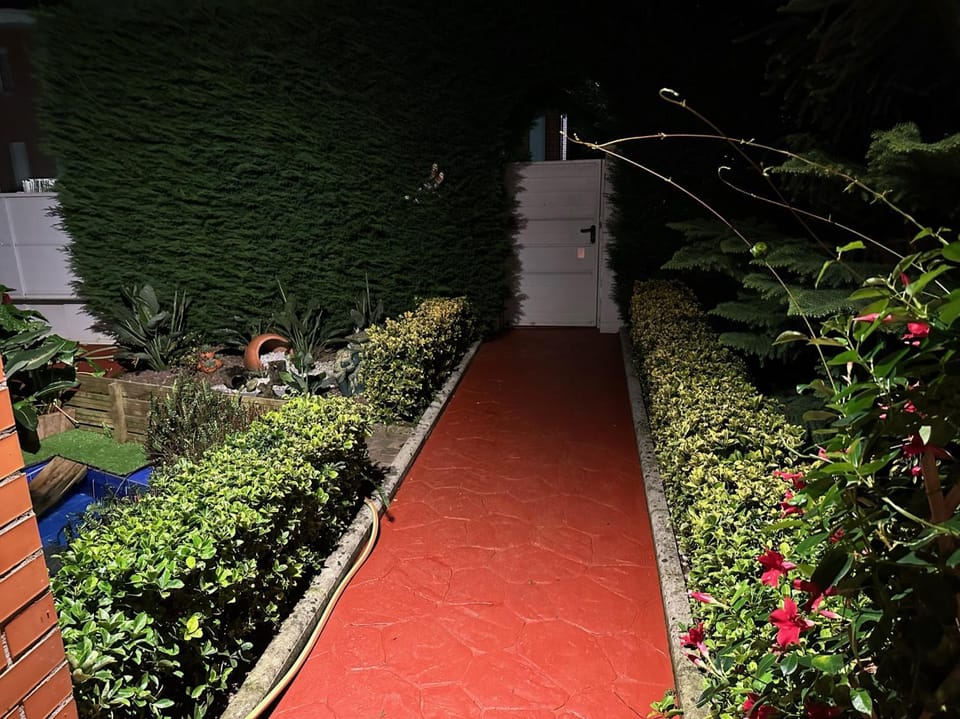 Night, Garden