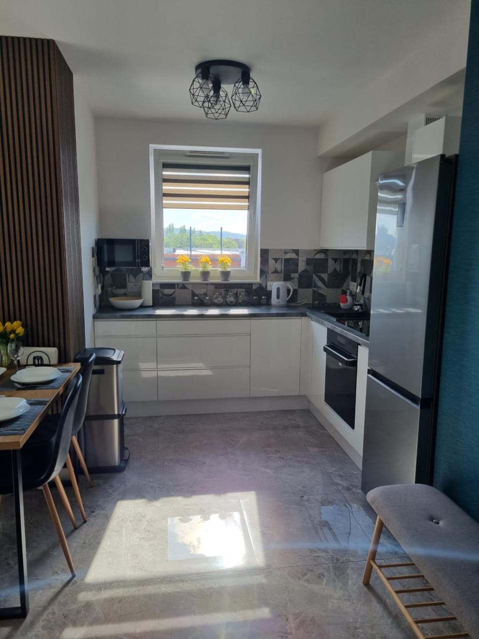 Kitchen or kitchenette, dishwasher, minibar, pet friendly, stove