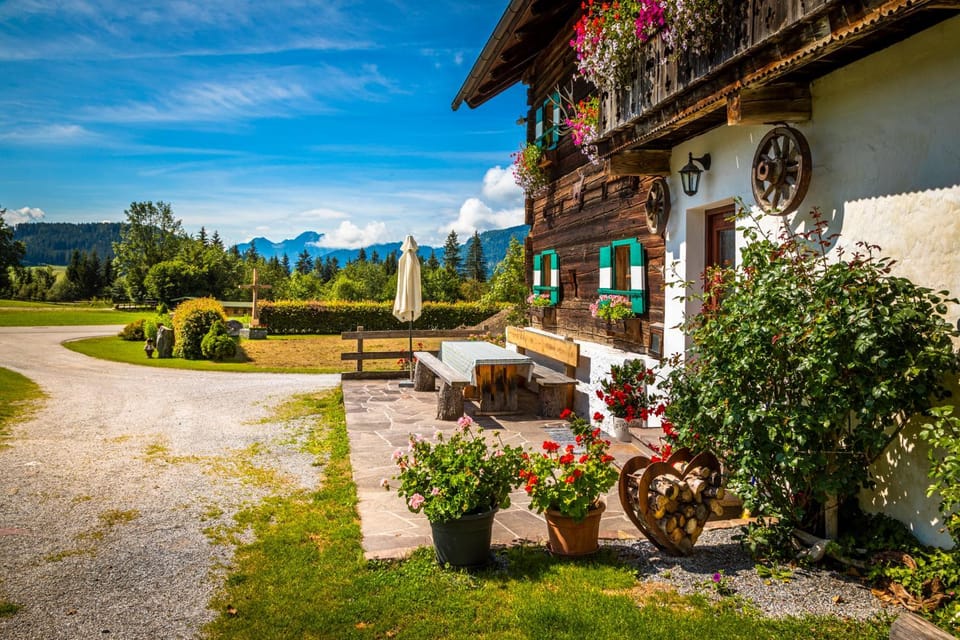 Patio, Garden