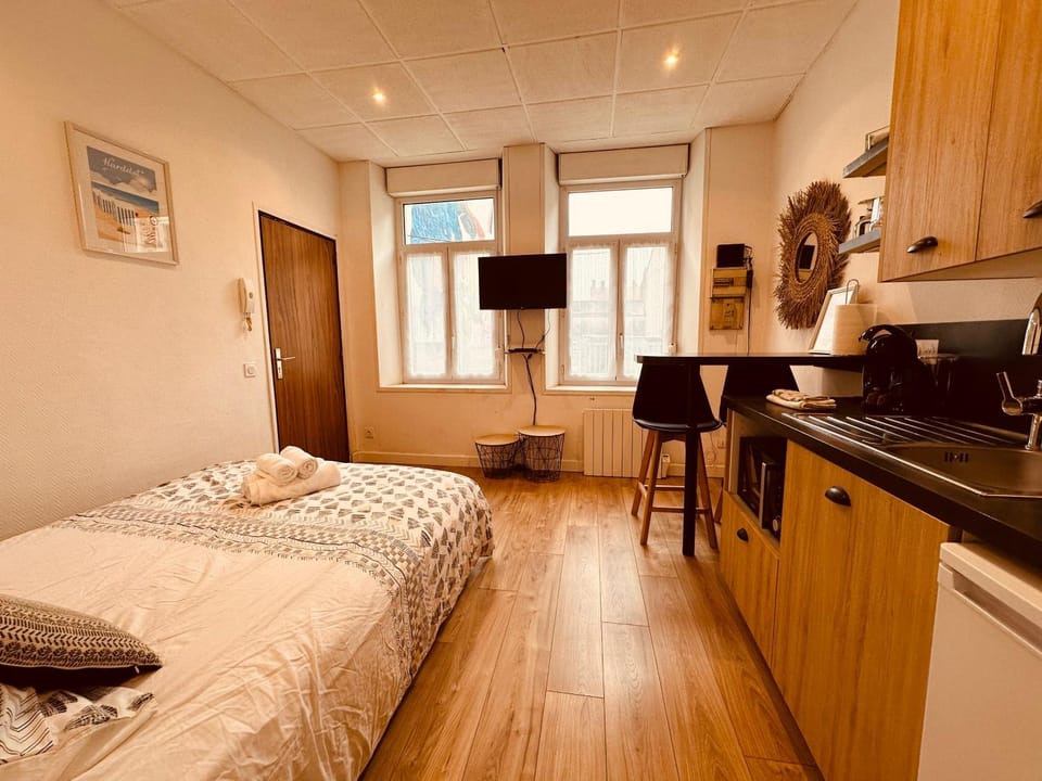 Bed, TV and multimedia, Kitchen or kitchenette, Photo of the whole room, Dining area, Bedroom, stove